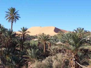 La grande dune de Béni Abbès