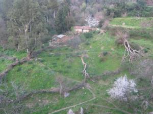 Maisons anciennes ou montagne de blida