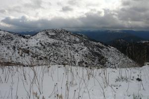 Tazarine, Bougara, (Atlas blidéen), Wilaya de Blida