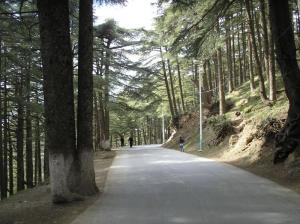 C'est à Blida CHERI3A! je vous assure, c'est pas en suisse