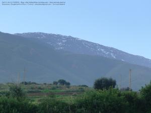 Laazayeb (Hauteurs de Amroussa - Atlas blidéen), W. de Blida