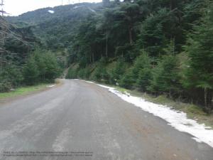 Chréa (Atlas blidéen), Wilaya de Blida