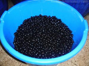 Larbaa (Mitidja - Atlas blidéen), Wilaya de Blida