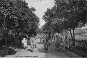 Boufarik, avenue du marché.