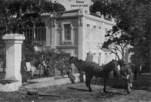 Crescia, Ferme Aouch el Cadi