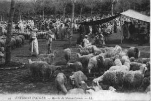 Maison carrée, le marché