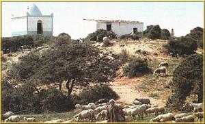 Marabout dans le bled