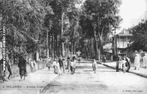 Sidi Bel-Abbès, Avenue Loubet