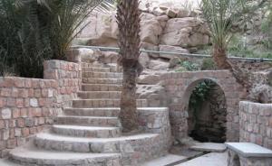 Djanet, Source d'eau dans la palmeraie