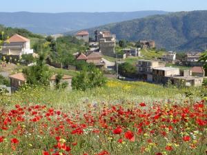 Tala-Tazerth près de Seddouk