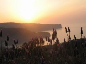 Plage sidi youchaa Tlemcen