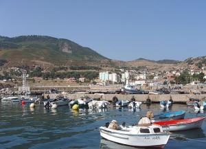 Le port de Chetaibi