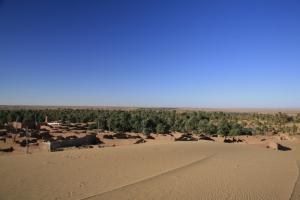 L'Oasis de Timmimoun