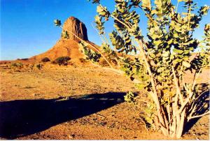 El hoggar,Tamanrasset