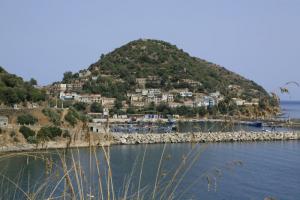 Vue sur le port de Collo