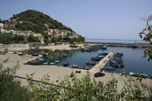 Le port de Collo