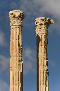 Colonnes et chapiteaux du Capitole