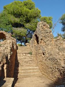 Tipaza, Entrée du Theatre
