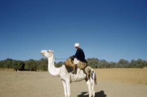 Désert de In Guezzam