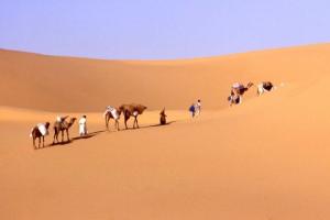 Au milieu des dunes de Timimoun