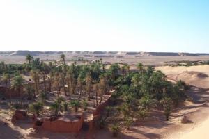 La palmeraie de Tasfaout près de Timimoun