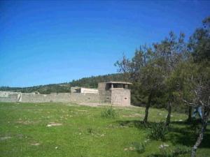Bab el assa, Tlemcen