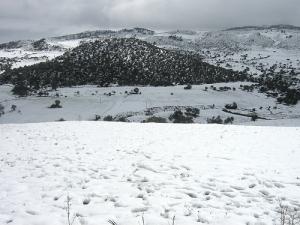 Paysage de Ben Djarah sous la neige