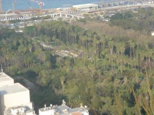 Vue sur le jardin d'Essai, alger
