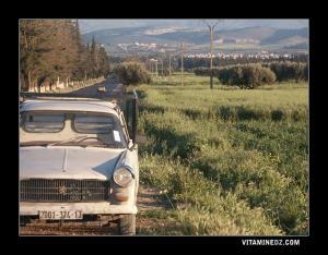 Taaouniya ou CAM (Coopérative des Anciens Moujahidines)