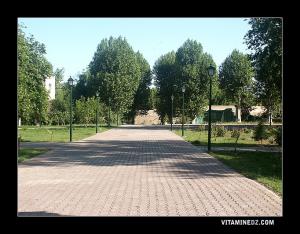 Intérieur du Mechouar