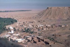 Vue générale sur l'oasis de Ouargla
