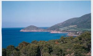 Vue sur la plage de Oued Goussine