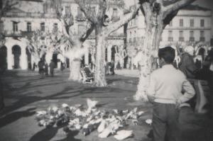 Blida en Afrique du Nord