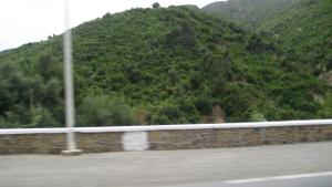 RN01 DU PARC NATIONAL DE CHEREA VERS BLIDA