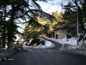 à droit vers Chrea à gauche vers Blida