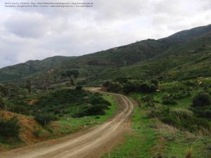 Tafrant et Taourga (Hauteurs de Amroussa - Atlas blidéen), Wilaya de Blida