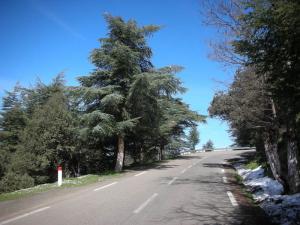 route vers Chrea, Blida, Algerie