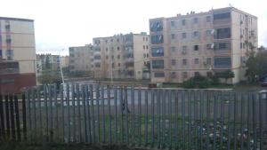 Cite Bounaama Djillali