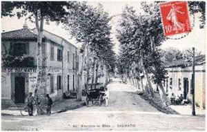 Dalmatie ouled yaich