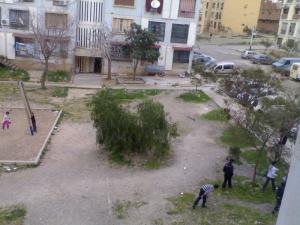 by abdeldjalil benzohra