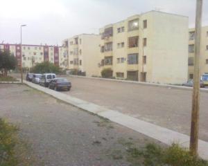 Les 4 BTs ( 1000 llogs )