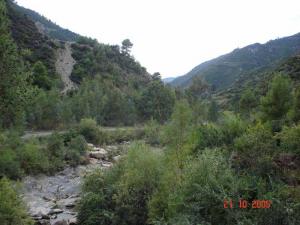 Oued near Beni-Misra