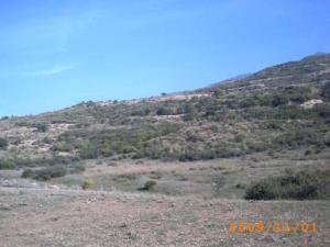 NADOR vue sur la route de TAMEZGUIDA