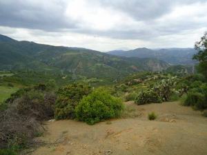 Talamimoun et marabout Sidi el hadj