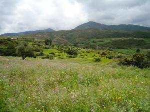 Le Mouzaia et le chemin de talamimoun