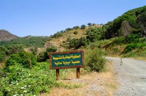Mouzaia - parc national de Chrea