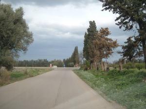 route de belouadi-rais-baraki