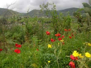 Village des Ouled Lekfif, Aomar, Bouira