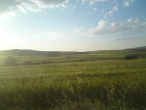 bir ghbalou nature w.bouira