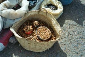 Marché de Tamanrasset, Criquets à vendre !